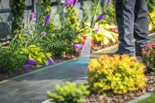 Best Animal Enclosure Cleaning  in Shippensburg, PA